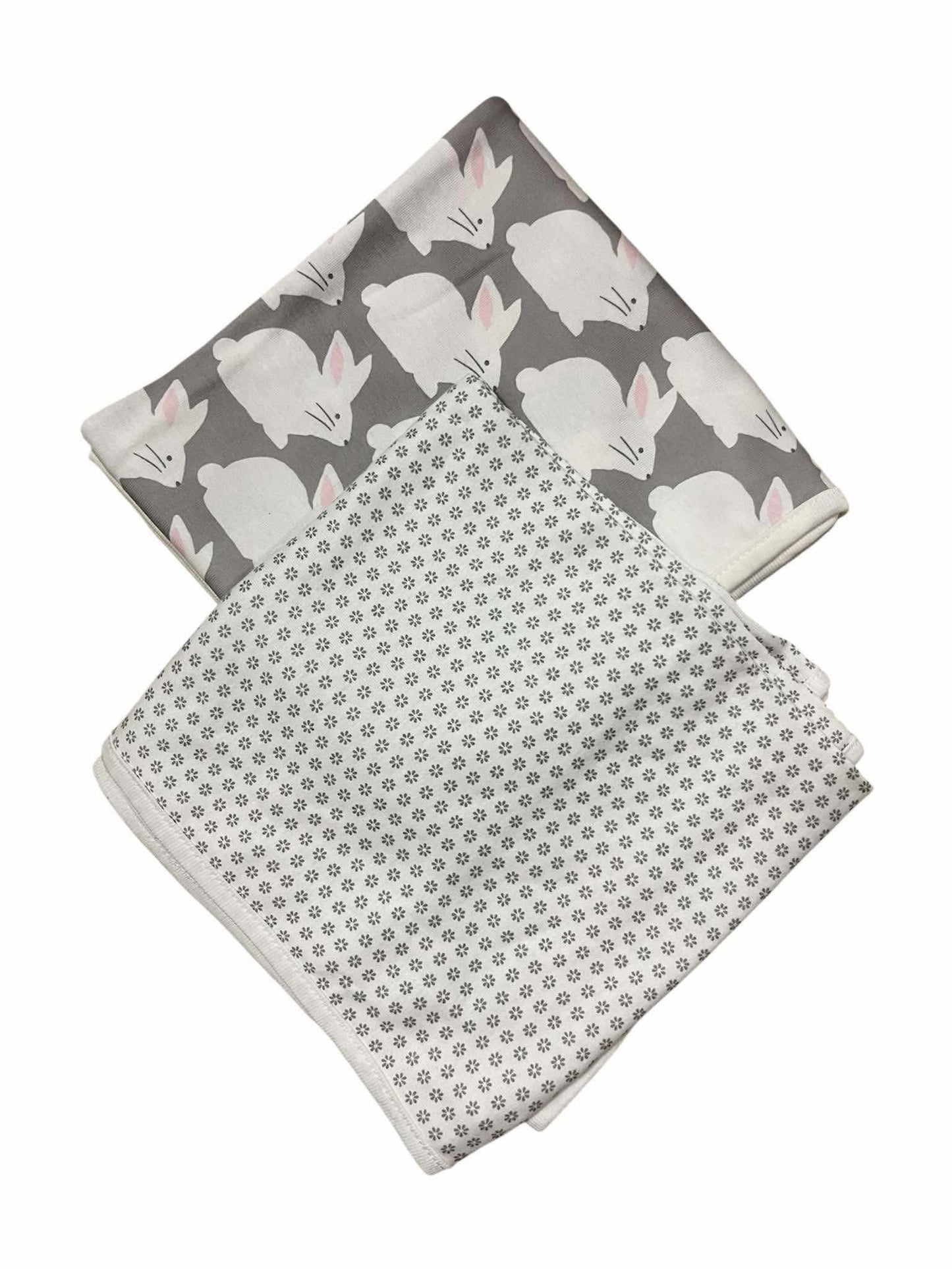 CHONH 195 CARTER'S 2PC BLANKET