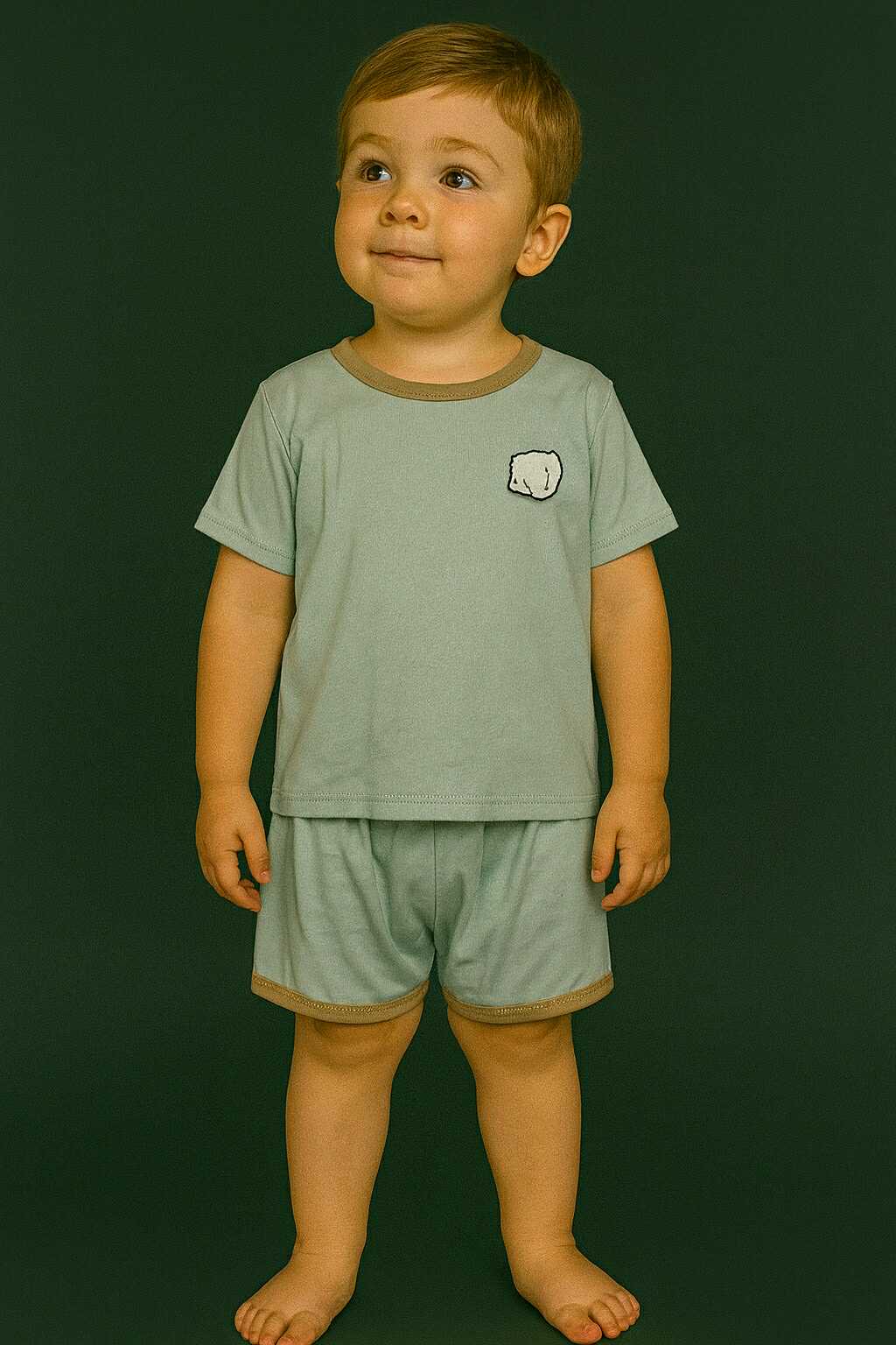 CH 629 DISNEY SHIRT W/ SHORT (GREEN BOY)