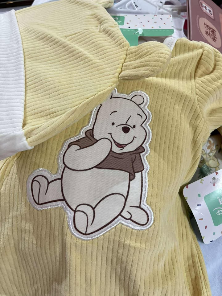 CHONH 384C POOH